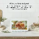 Mourixa-Google Nest Hub 2nd Gen-05.webp